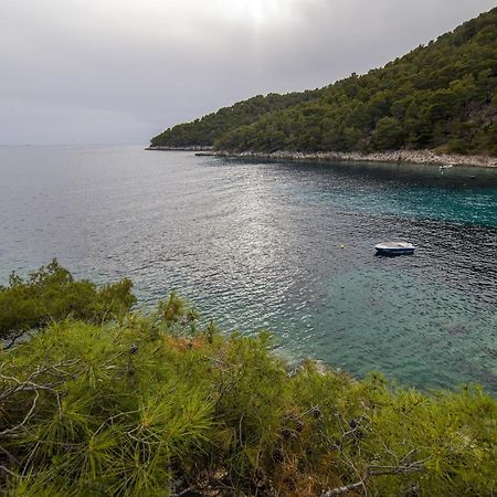 Secluded Fisherman'S Cottage Cove Skozanje, Hvar - 4009 Gdinj Kültér fotó